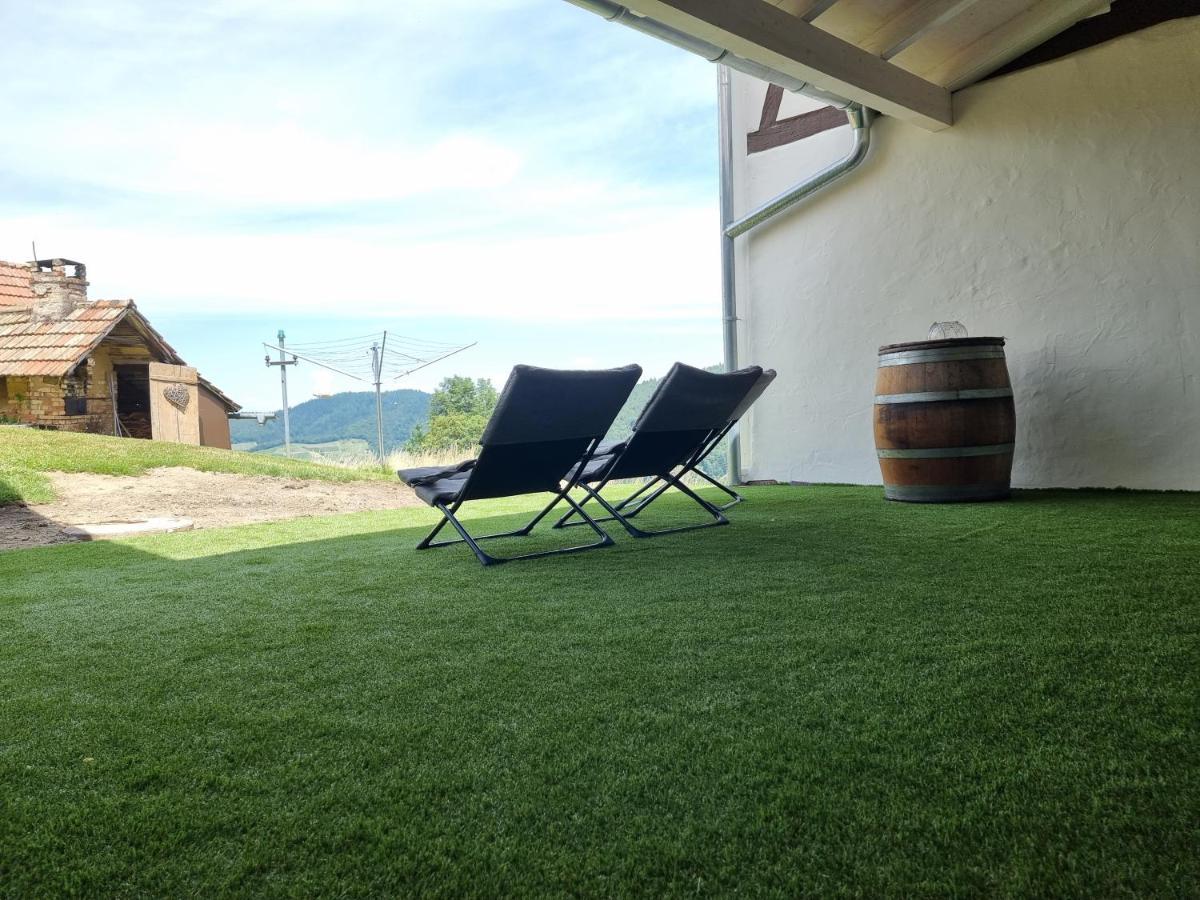 Vila Haus Am Berg Mit Wellnessbereich, Bar Und Panorama Bühlertal Exteriér fotografie