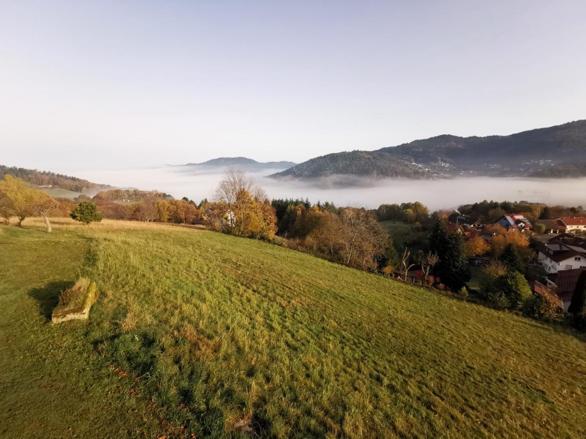 Vila Haus Am Berg Mit Wellnessbereich, Bar Und Panorama Bühlertal Exteriér fotografie