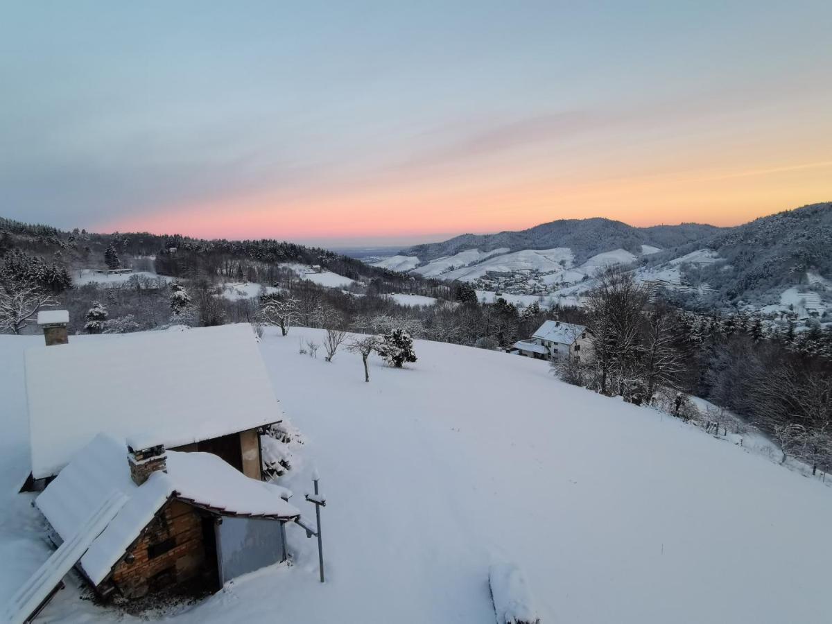 Vila Haus Am Berg Mit Wellnessbereich, Bar Und Panorama Bühlertal Exteriér fotografie